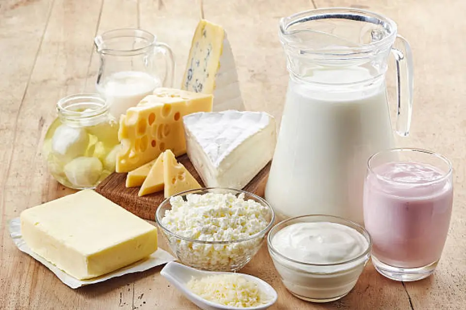 Fresh Dairy Products  